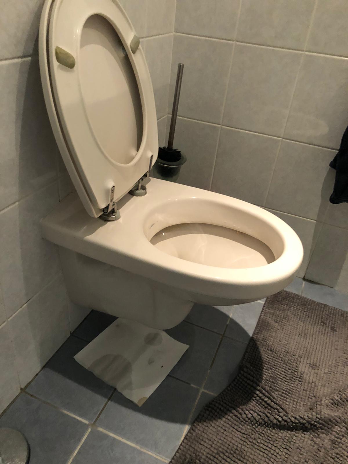 hangtoilet Reeuwijk